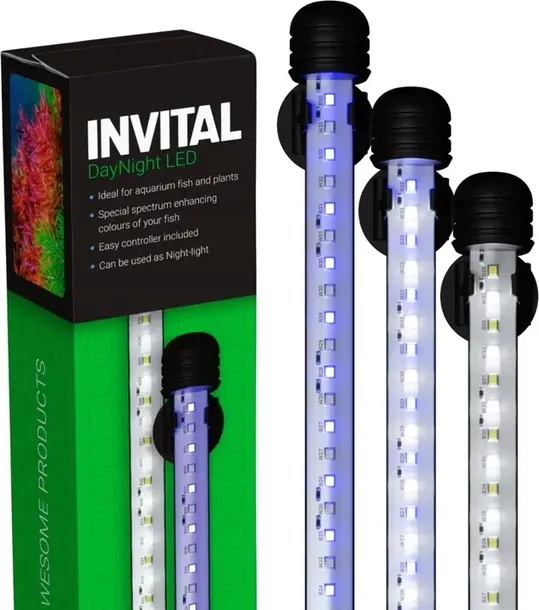 invital-daynight-led-6w-29cm-sklad-zestawu-inny
