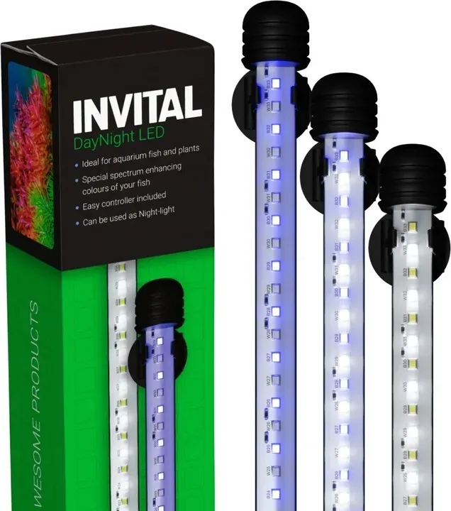 invital-daynight-led-6w-29cm
