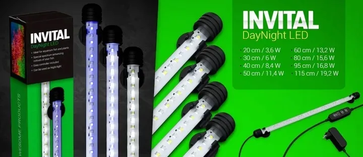 invital-daynight-led-6w-29cm