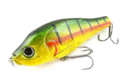 wobler-gunki-otachi-125cm-gold-perch-615g