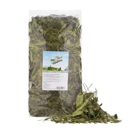 herobunny-babka-lancetowata-750g-naturalne-100percent-factoryherbs
