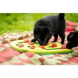 nina-ottosson-cat-buggin-out-puzzle-and-play-stan-nowy