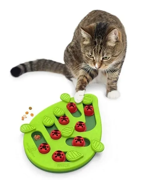 nina-ottosson-cat-buggin-out-puzzle-and-play-nazwa-handlowa-17689