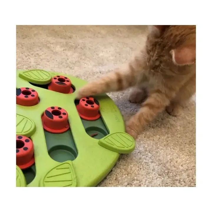 nina-ottosson-cat-buggin-out-puzzle-and-play