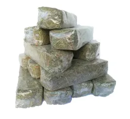 sianko-dla-krolikow-swinek-morskich-gryzoni-siano