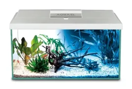 akwarium-60x30x40-72l-prosty-bialy-pokrywa-aquael-leddy-dzien-noc