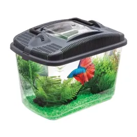 aquael-betta-kit-akwarium-dla-bojownika-zlotej-ryb