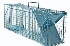 zywolapka-pulapka-na-koty-kuny-bardzo-szybka