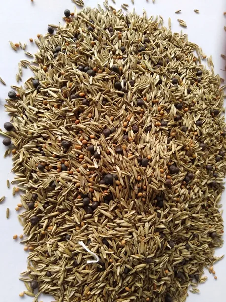 mieszanka-gorzowska-10-kg-roslina-w-postaci-inna-stan-opakowania-oryginalne