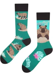 kolorowe-skarpetki-todo-socks-don-t-worry-be-capy-capybara-35-38