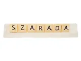 szarada-projektant-aleksandra-sulej