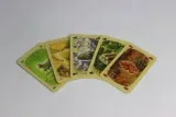 catan-gra-planszowa-galakta-material-karton