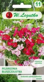 nasiona-pelargonia-speedy-5-nasion-legutko