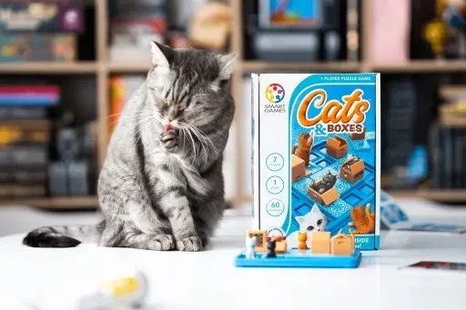cats-and-boxes-smart-games-eng-iuvi-games