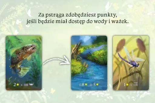 ekosystem