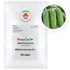 ogorek-orfeus-f1-partenokarpiczny-500-nasion-bez-goryczki-profi-wegana
