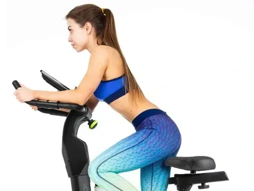 rowerek-treningowy-rower-stacjonarny-rook-zipro-stan-nowy