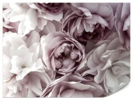 fototapeta-do-sypialni-salonu-kwiaty-peonie-piwonie-styl-vintage-450x300