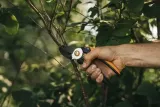 fiskars-sekator-kowadelkowy-solid-p361-1057165-i-maksymalna-grubosc-cietej-galezi-20-mm