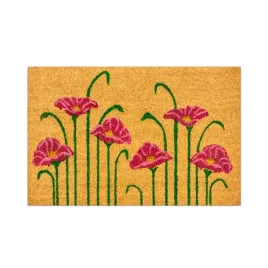 wycieraczka-pod-drzwi-do-butow-zewnetrzna-wejsciowa-mocna-kokos-mata-40x60