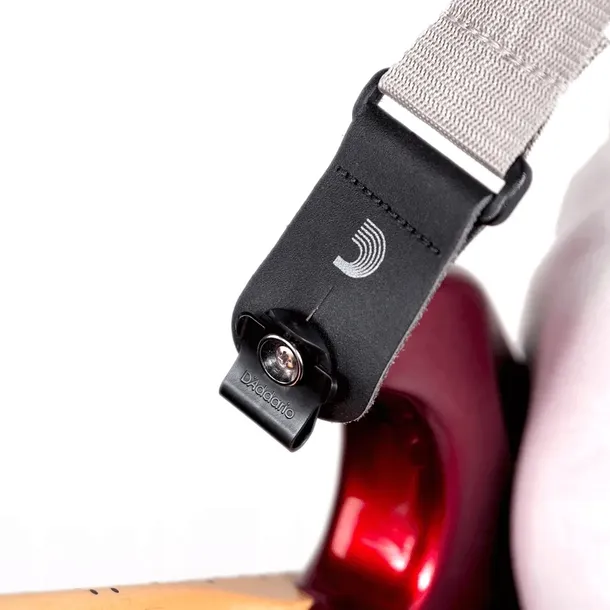 d-addario-pw-dlc-01-dual-lock-strap-para-kod-producenta-pw-dlc-01