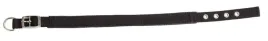 obroza-dla-psa-miami-plus-33-39-cm-x-20-mm-czarna-kerbl
