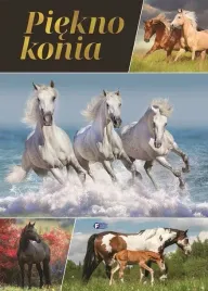 piekno-konia-album-i-ciekawostki-o-koniach-dla-dzieci