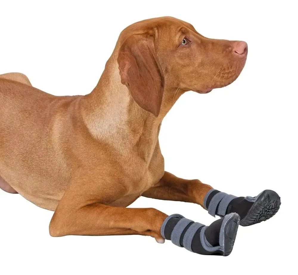 buty-dla-psa-active-xl-kerbl