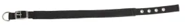 obroza-dla-psa-miami-plus-53-61-cm-x-38-mm-czarna-kerbl