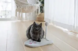 drapak-dla-kota-paw-36-cmm-bialo-rozowy-kerbl