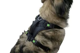szelki-dla-psa-pulsive-obwod-szyi-50-62-cm-czarne-kerbl