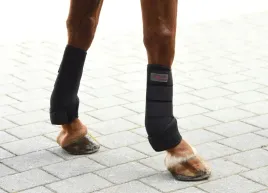 ochraniacze-dla-konia-neoprenowe-czarny-roz-full-4-szt-covalliero