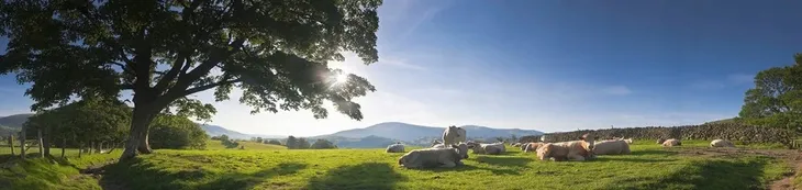 linka-ogrodzeniowa-basic-200-m-x-6-mm-biala-kerbl-szerokosc-6-mm