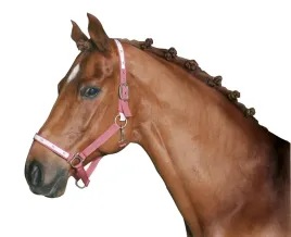 gumki-do-grzywy-konia-czarny-800-szt-covalliero