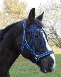 naczolek-z-fredzelkami-dla-konia-granatowy-roz-pony-covalliero