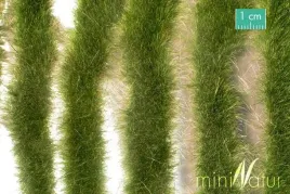 mininatur-tuft-dluga-wczesnojesienna-trawa-w-paskach-252-cm