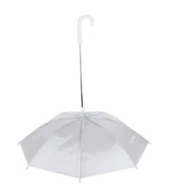 parasolka-parasol-smycz-dla-psa-deszcz