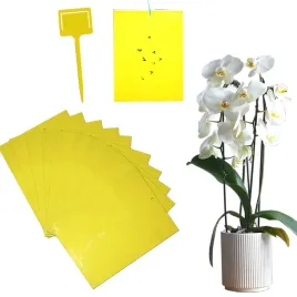 zolte-tablice-karteczki-lepowe-ziemiorki-mszyce-maczlik-przedziorki-10-duze