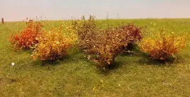 mininatur-poznojesienne-krzewy-45-cm-3-szt