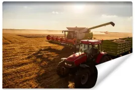 fototapeta-dla-chlopca-maszyny-rolnicze-pole-traktor-kombajn-3d-368x254