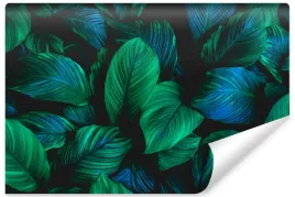 fototapeta-do-jadalni-tropikalne-liscie-natura-rosliny-efekt-3d-450x300