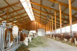 oswietlenie-multiled-pro-150-w-kerbl