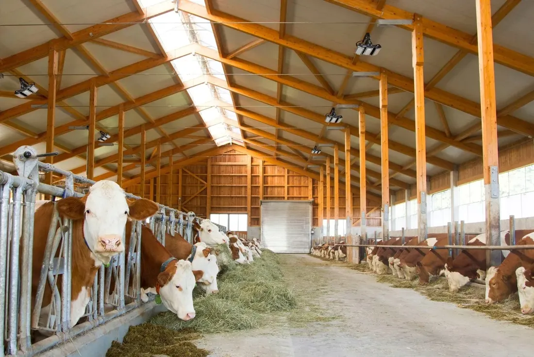 oswietlenie-multiled-pro-150-w-kerbl