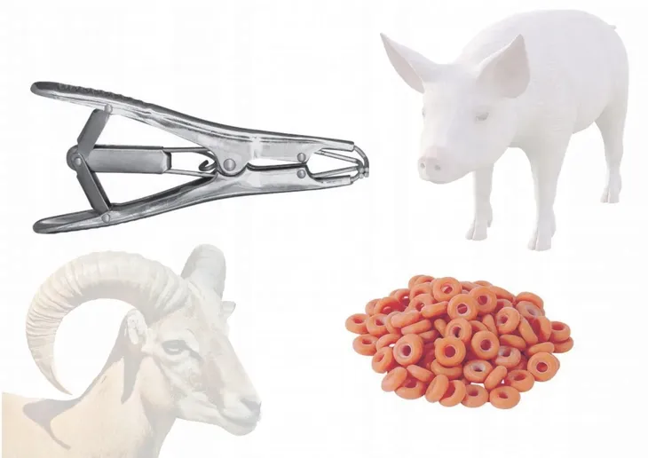 aplikator-do-gumek-zaciskowych-kerbl-marka-bez-marki