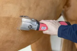 maszynka-do-strzyzenia-koni-bonum-2-akumulatory-rozowy-aesculap