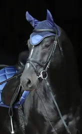 nauszniki-dla-konia-empara-granatowy-roz-cob-full-covalliero