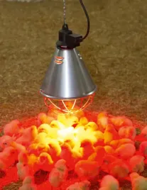 oprawa-promiennika-kabel-50-m-230-v-kerbl