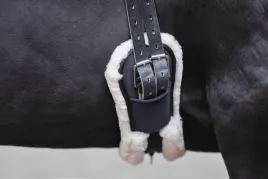 popreg-ujezdzeniowy-70-cm-ze-sztucznym-futrem-czarny-covalliero