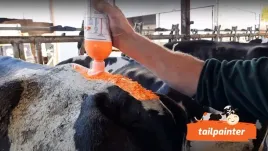 farba-wykrywajaca-ruje-daisy-z-pedzlem-pomaranczowa-750-ml-kerbl