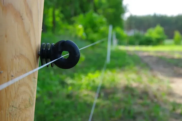 izolator-do-plecionek-i-drutu-basic-25-szt-kod-producenta-11-0429